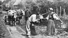 NEIGHBOURLY GREETINGS ON THE WAY TO THE FIELDS IN THE GOLDEN DAYS OF HE UKRAINIAN HARVESTI. Ilustracja do książki. [Dokument ikonograficzny]