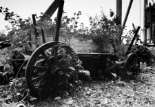 Białoruś. Oleszkowce. Kolekcja fotografii dokumentalnej „Losy posłuchane – Białoruś”. [Dokument ikonograficzny]