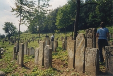 Ukraina. Cmentarz żydowski (kirkut). „Kolekcja fotografii dokumentalnej – Ukraina”. [Dokument ikonograficzny]