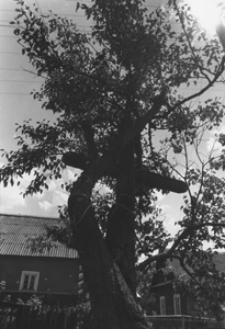 Krajobraz Arcisze. Kolekcja fotografii dokumentalnej „Losy posłuchane – Białoruś”. [Dokument ikonograficzny]