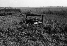 Białoruś. Arcisze. Kolekcja fotografii dokumentalnej „Losy posłuchane – Białoruś”. [Dokument ikonograficzny]