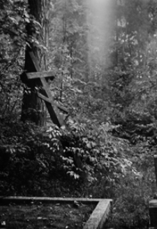 Grudziewszczyzna. Cmentarz staroobrzędowy. Kolekcja fotografii dokumentalnej – Polska. Pogranicze polsko-litewskie. [Dokument ikonograficzny]