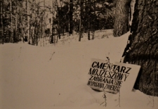 Krasnopol. Cmentarz żydowski. Kolekcja fotografii dokumentalnej – Polska. Pogranicze polsko-litewskie. [Dokument ikonograficzny]