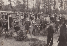 Uczniowie Szkoły Powszechnej nr 13 w czasie sadzenia drzew, Las Zwierzyniecki, Białystok, ok. 1937 r.