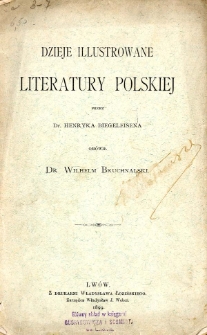 Dzieje illustrowane literatury polskiej