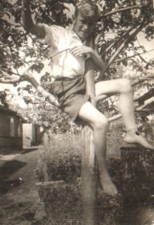 Chłopiec na drzewie, ul. Piasta 91, Białystok, około 1947 r.