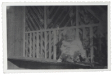 Dziecko w ogrodowej altance, ul. Kraszewskiego, Białystok, lata 50-60 XX w.