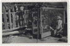 Kurnik w ogrodzie, ul. Próżna 2, Białystok, lata 70. XX w.