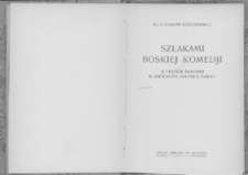 Szlakami Boskiej komedji : w hołdzie Dantemu w sześćsetną rocznicę śmierci