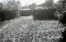 Ogród przy domy, Białystok, druga połowa lat 70. XX w., fot. ze zbiorów Andrzeja Trzcińskiego