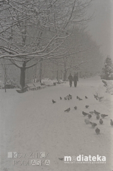 Park Planty, Białystok, ok. 1978 r., fot. ze zbiorów Andrzej Trzcińskiego