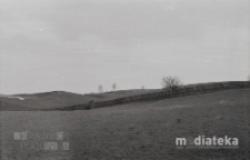 Krajobraz, owce na wzgórzu, druga połowa lat 70. XX w., fot. ze zbiorów Andrzeja Trzcińskiego
