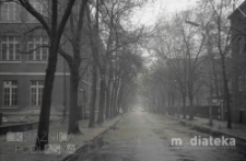Aleja drzew, Warszawa, druga połowa lat 70. XX w., fot. ze zbiorów Andrzej Trzcińskiego