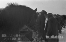 Ludzie wśród koni i sań, druga połowa lat 70. XX w., fot. ze zbiorów Andrzej Trzcińskiego