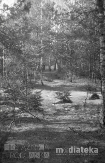 Las iglasty zimą, druga połowa lat 70. XX w., fot. ze zbiorów Andrzej Trzcińskiego