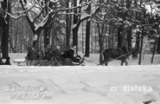 Dzieci na saniach podczas kuligu, druga połowa lat 70. XX w., fot. ze zbiorów Andrzeja Trzcińskiego
