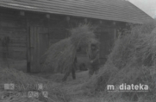 Młócenie słomy, druga połowa lat 70. XX w., fot. ze zbiorów Andrzeja Trzcińskiego