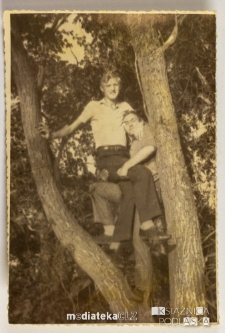 Dwóch mężczyzn na koronie drzewa, PGR Kociołek, 1973 r.