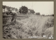 Mężczyzna pracujący przy nasypie kolejowym