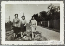 Grupa harcerek hufca Związku Harcerstwa Polskiego w Białej Podlaskiej idzie drogą wiejską, Biała Podlaska, lata 40. XX w.