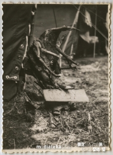 Totem na obozie harcerskim