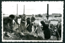 Praca społeczna młodzieży z Zakładów Przemysłu Bawełnianego im. 1-go Maja w dzielnicy Bałuty