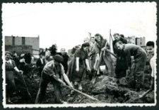 Praca społeczna młodzieży z Zakładów Przemysłu Bawełnianego im. 1-go Maja w dzielnicy Bałuty