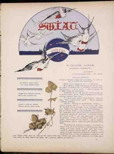 Świat 1893, R. 6, nr 17