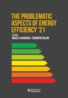 The problematic aspects of energy efficiency ’21