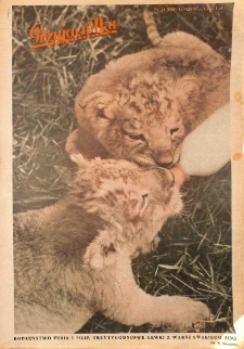 Przyjaciółka 1970 nr 24