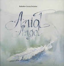 Ilustracje do książki Radosława Cezarego Gwizdona pt. "Anioł"