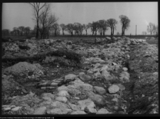 Tykocin, ruiny zamku