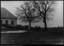 Tybory-Kamianka, Pałac Roszkowskich