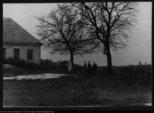 Tybory-Kamianka, Pałac Roszkowskich