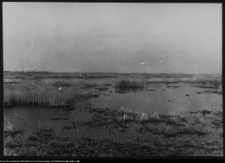 Tykocin, rzeka Narew