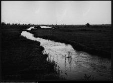 Tykocin, rzeka Narew