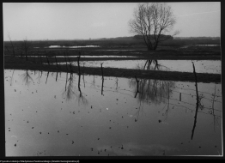 Tykocin, rzeka Narew