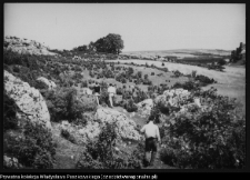 Złoty Potok, ruiny grodziska