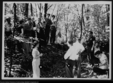 Złoty Potok, ruiny grodziska