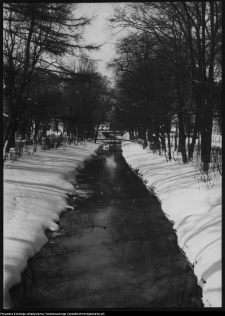 Choroszcz, park pałacowy