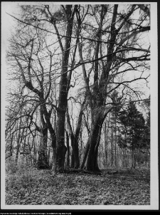 Podlasie, historyczny krajobraz ruralistyczny