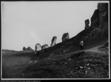 Ogrodzieniec, ruiny zamku