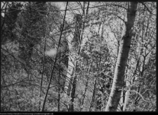 Botkuny, wiadukt kolejowy