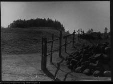 Podlasie i wschodnie Mazowsze, krajobraz