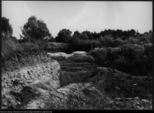 Tykocin, ruiny zamku