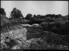 Tykocin, ruiny zamku