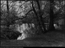 Choroszcz, park pałacowy i jego otoczenie