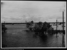 Wylew Narwi przy szosie Warszawskiej