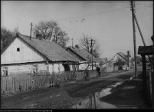 Narew