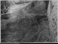 Wigry : zesp&oacute;ł klasztorno-kościelny